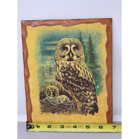Vintage Great Grey Owl With Owlets‎ Wooden Wall Nature Scene Signed Steve Miller - Picture 6 of 8
